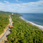 Access road winding through the forest down to the beach