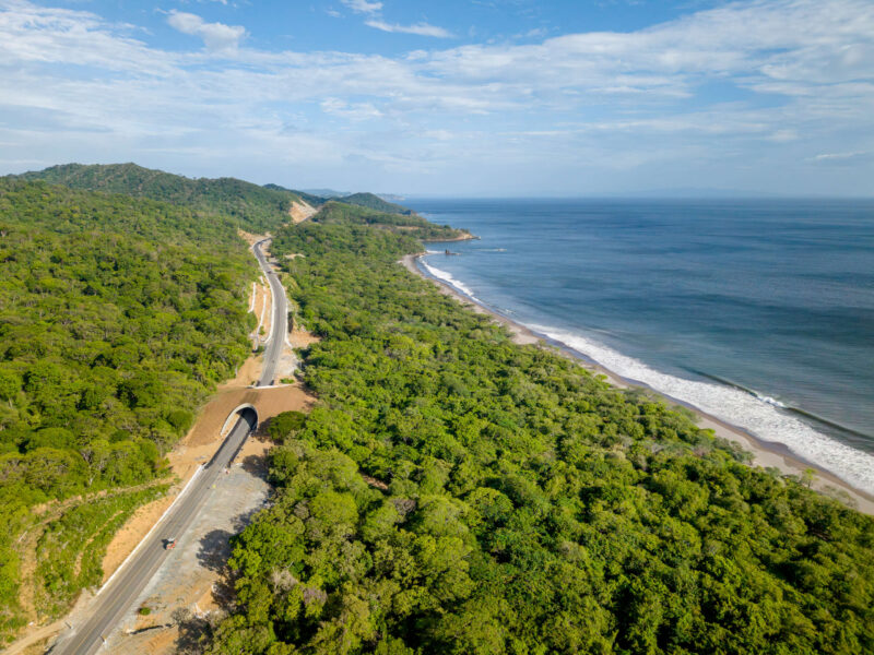 Access road winding through the forest down to the beach