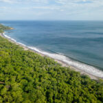 Forested point meeting the Pacific Ocean