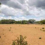 Level, cleared land raised with compacted fill