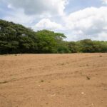 Wide cleared parcel ready for development