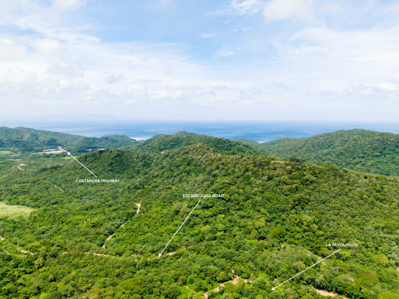 Aerial of the La Revolución eco-community forest with the Pacific on the horizon