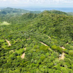 Forested hills of the eco-community rolling toward the ocean