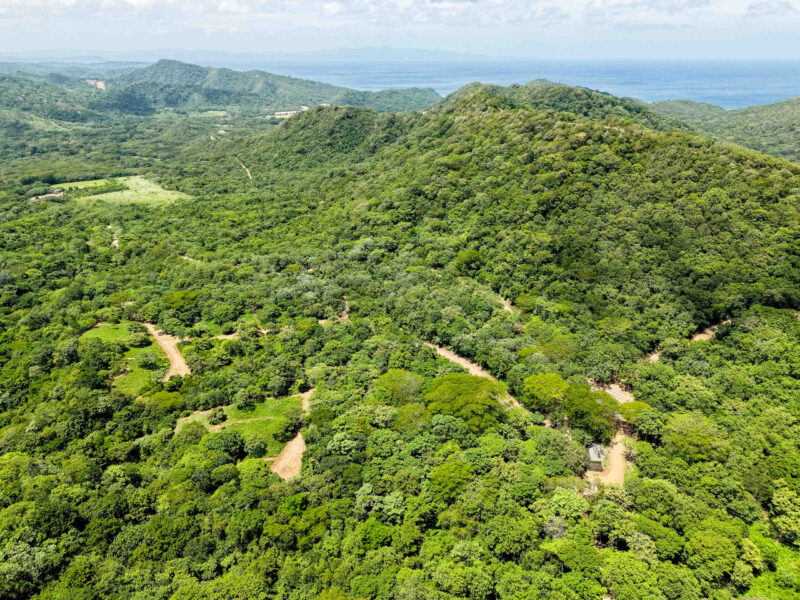 Forested hills of the eco-community rolling toward the ocean