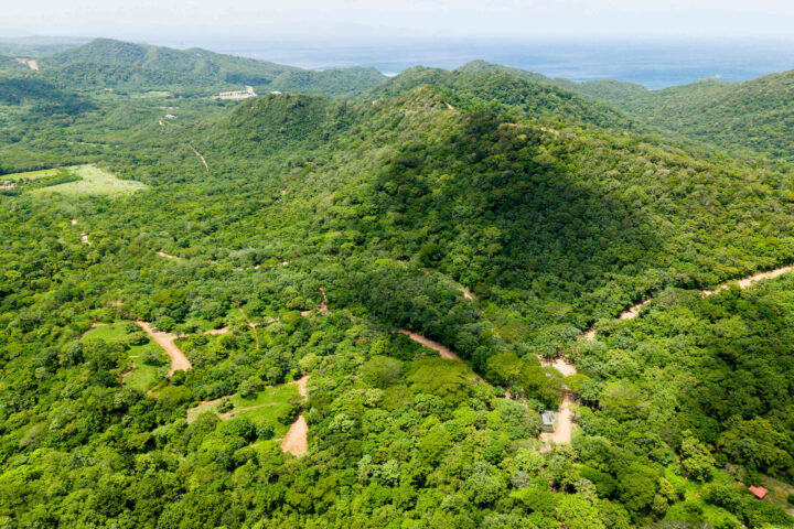 Tropical dry forest with ocean views in the distance