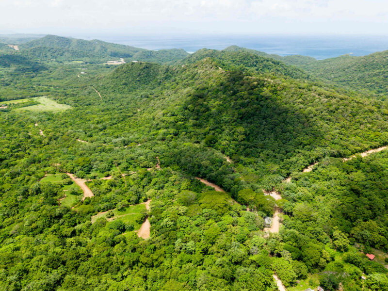 Tropical dry forest with ocean views in the distance