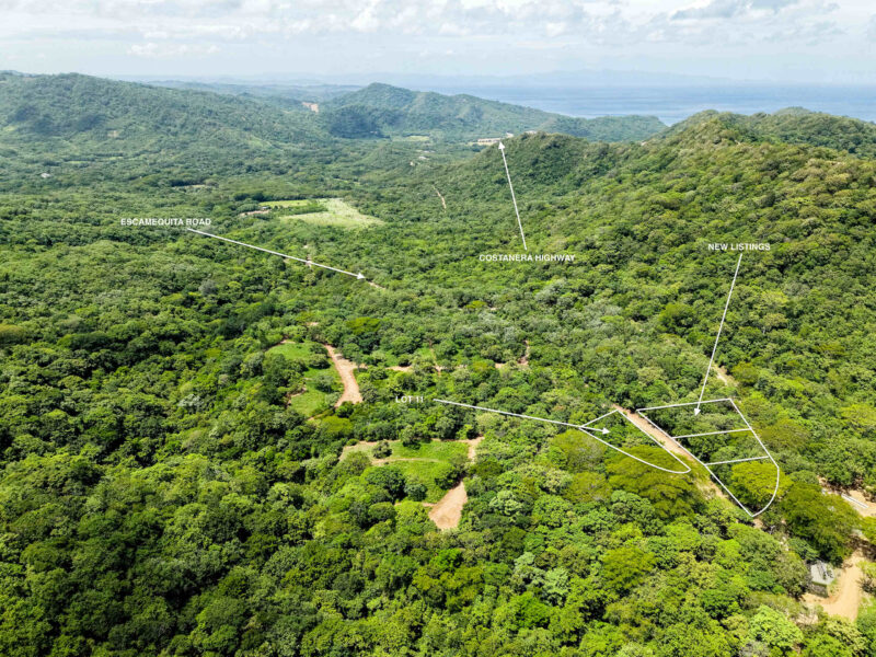 Green hills of La Revolución above the coast