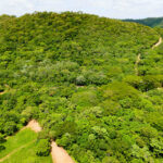 Community roads winding through the tropical dry forest
