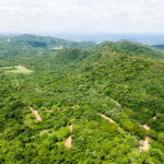 Spacious wooded lots beside the Escamequita Nature Reserve