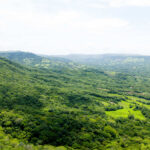 Winding roads through the protected green space