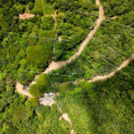 Aerial of the forest and access roads