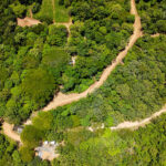 Tree-covered lots with a road cutting through