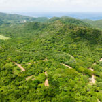 Rolling forest with a glimpse of the coast