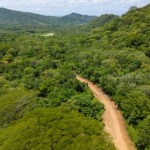 Forested hills and valleys of La Revolución