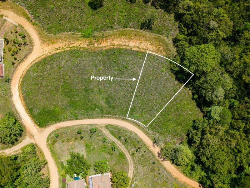 Overhead view with the lot boundary and access road