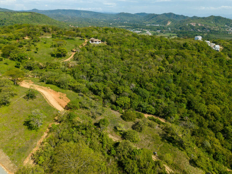 Hillside and access road leading to the lot