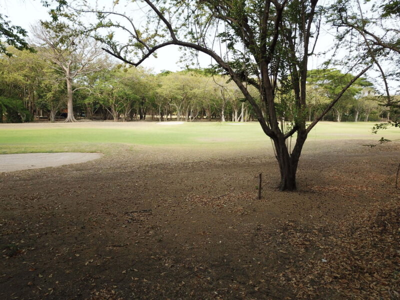 View across the lot to the fairway and bunker on Hole 5