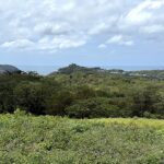 Pacific horizon from the highest elevation of El Encanto del Sur