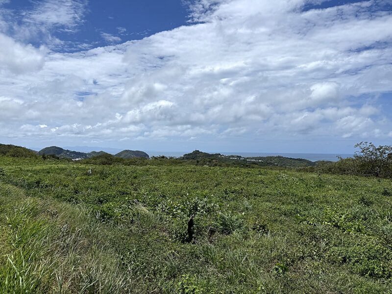 936 square meter homesite with the sea beyond the treetops