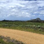 Community road beside the panoramic ocean view lot with sea views