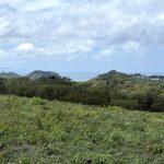 Panoramic ocean view lot near TreeCasa overlooking the Pacific and coastal hills