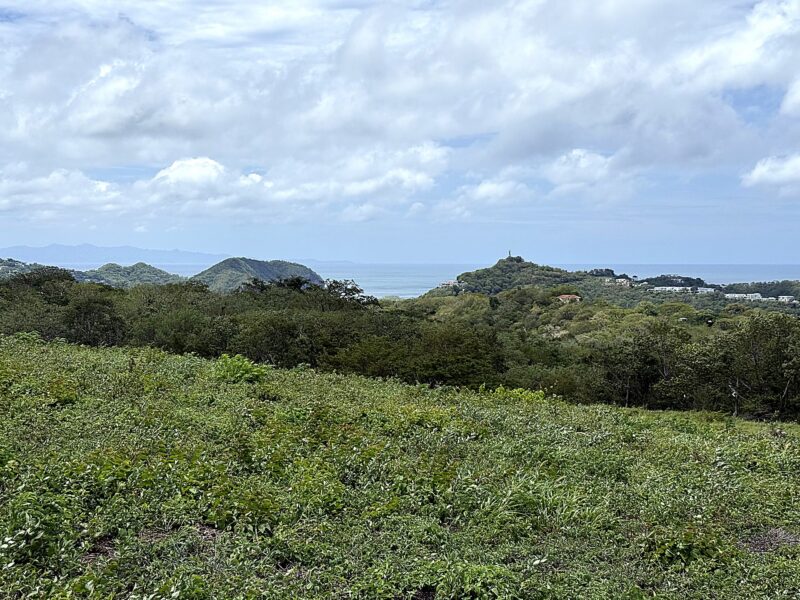 Panoramic ocean view lot near TreeCasa overlooking the Pacific and coastal hills