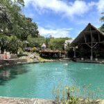 Lagoon-style swimming pool surrounded by tropical forest