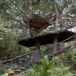 Treehouse platform and canopy walkway at TreeCasa Resort