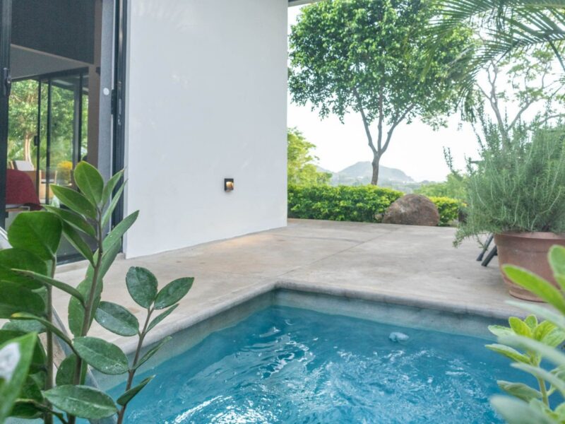 Plunge pool in a walled garden courtyard