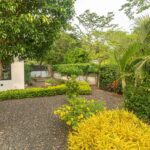 Tropical garden with yellow shrubs and trees