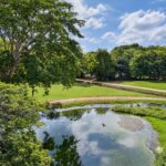 Pond and greenery on the Hacienda Iguana golf course